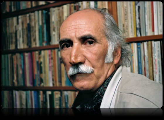 Aziz Aydın Doğan